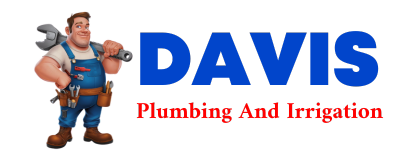 Trusted plumber in CAPSHAW